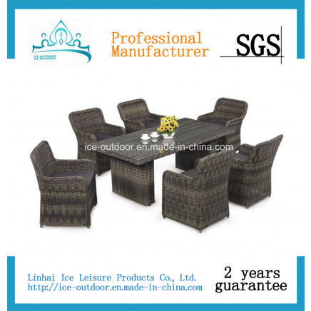 Outdoor Furniture Garden Furniture Rattan Chair Table Dining Set (ICE-001)