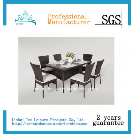 Outdoor Furniture Garden Furniture Rattan Dining Table Chair (FD-025I)
