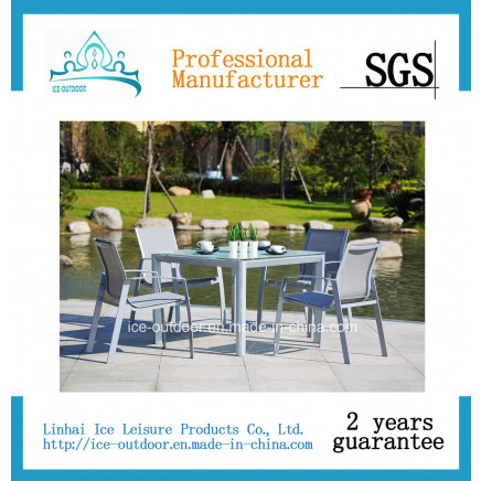 Outdoor Furniture Garden Furniture Rattan Dining Table Chair (FD-050I)