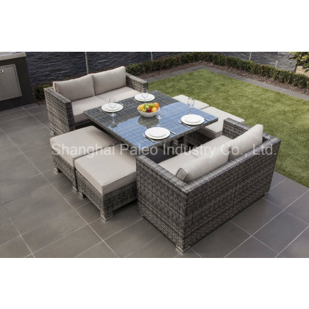Outdoor Furniture Garden Rattan Wicker Dining Set (PAD-1120)