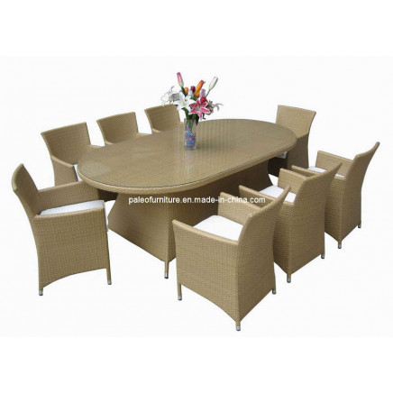 Outdoor Furniture, Rattan Dining Set (Oval Table) (PAD-058)