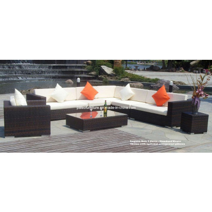 Outdoor Furniture, Rattan Sofa (PAS-062.2)