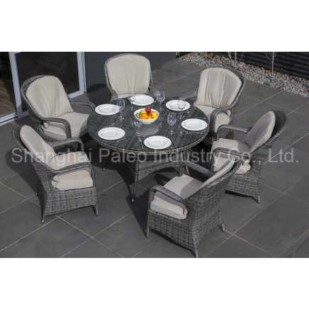 Outdoor Garden Patio Furniture Rattan Wicker Dining Table and Chair (PAD-1610)