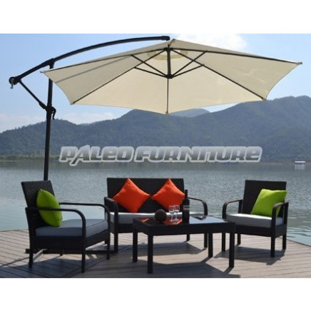 Outdoor Garden Patio Wicker Rattan Sofa (PAS-1308)