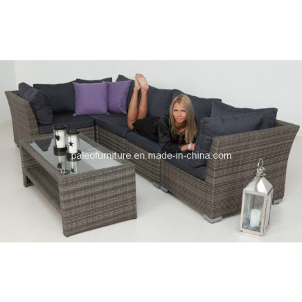 Outdoor Garden Rattan Wicker Patio Sofa Set (PAS-1208)