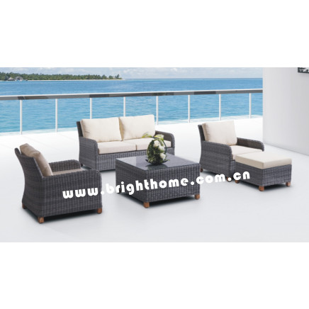 Outdoor Leisure Sofa/ PE Rattan Furniture/ Garden Furniture
