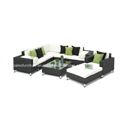 Outdoor Patio Rattan/Wicker Outdoor Furniture (PAS-1131)