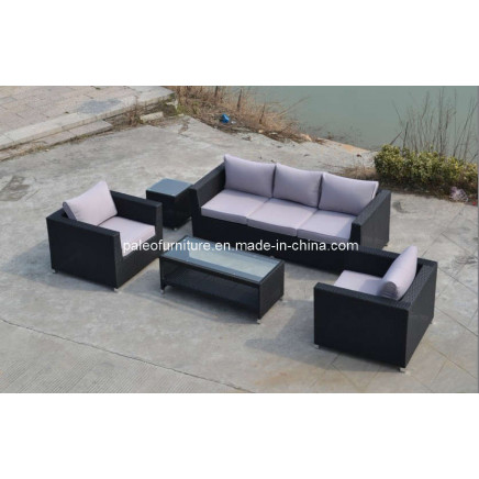 Outdoor Patio Wicker Furniture/Garden Rattan Sofa Set (PAS-1120)