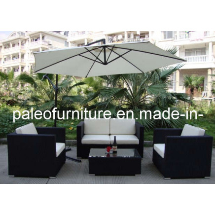 Outdoor Rattan Furniture / Garden Wicker Sofa (PAS-060.2)