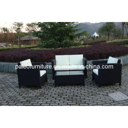 Outdoor Rattan Garden Wicker Patio Sofa Set (PAS-061.2)