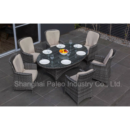 Outdoor Rattan Wicker Dining Table and Chair (PAD-1603)