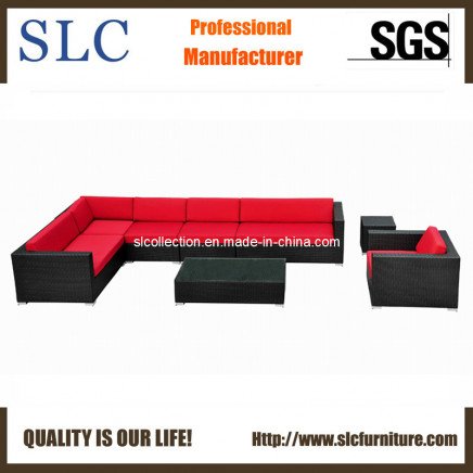 Outdoor Sofa/Leisure Outdoor Wick Sofa/ Wicker Hotel Sofa (SC-B6018)