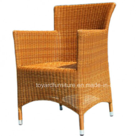 Outdoor Vine Chair Modern Simple Garden Furniture (S289)