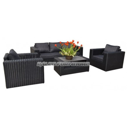 Outdoor Wicker Garden Rattan Sofa (PAS-1317)