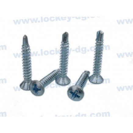 Oval Head Phillips Self Drilling Screw