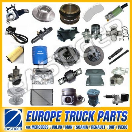Over 800 Items Truck Parts for Engine (Mercedes Benz)