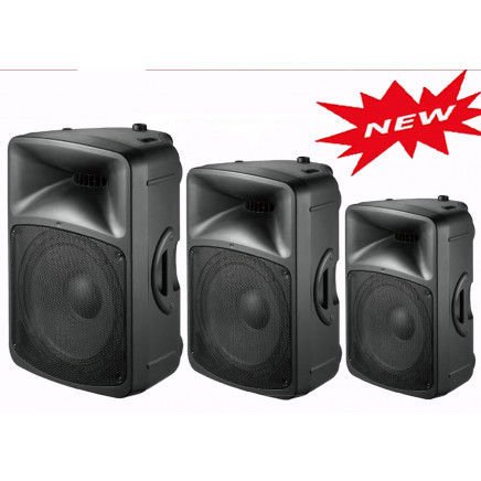 PRO PA Speaker Cabinet (PAM-12B)