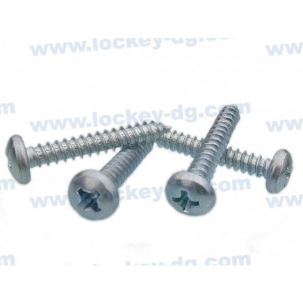 Pan Head Self Tapping Screw