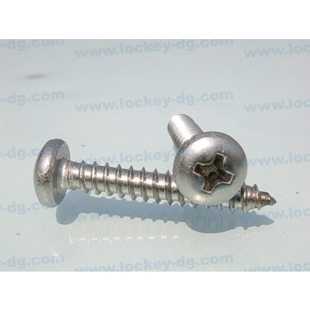 Pan Head Sheet Metal Screw