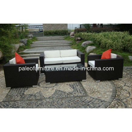 Patio Furniture Outdoor Wicker Rattan Garden Sofa (PAS-044.2)