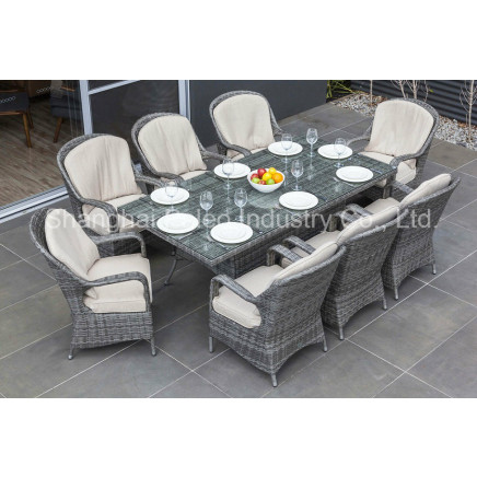 Patio Table and Chair Garden Leisure Rattan Furniture Outdoor Wicer Dining Set (PAD-1410)
