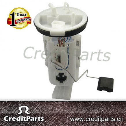 Petrol Fuel Pump Module E8416m for BMW (CRP8416M)