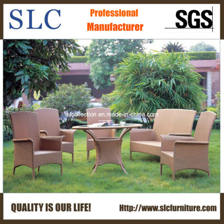 Poly Rattan Garden Furniture/ Outdoor Garden Furniture Aluminum/Luxury Garden Furniture (SC-B1013)