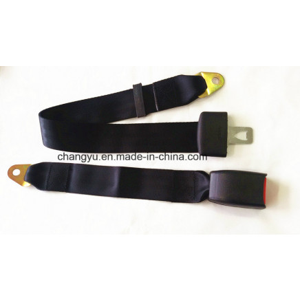 Polyester Material Type 2 Point Car Safety Belt