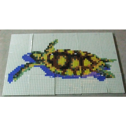 Pool Design with Mosaic