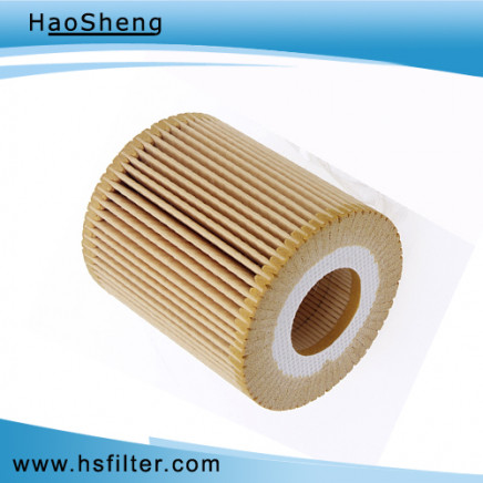 Practical Paper Core Auto Oil Filter for BMW (11 427 508 969)