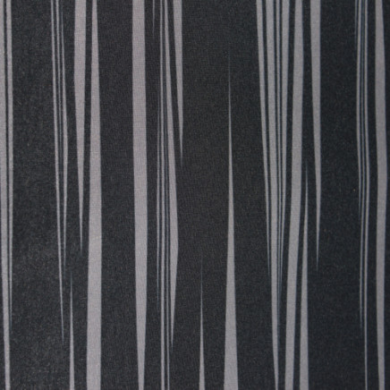 Printing Elastic 2
