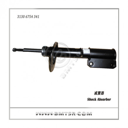 Professional Shock Absorber for BMW X5 E53 Oe: 3130 6754 341