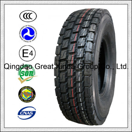 Radial Truck Tire with Bis Tire (10.00R20)