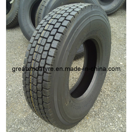 Radial Truck and Bus Tyre/Tire