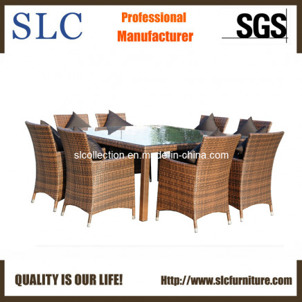 Rattan Dining Set/Restaurant Dining Sets/Outdoor Dining Set (SC-A7270)