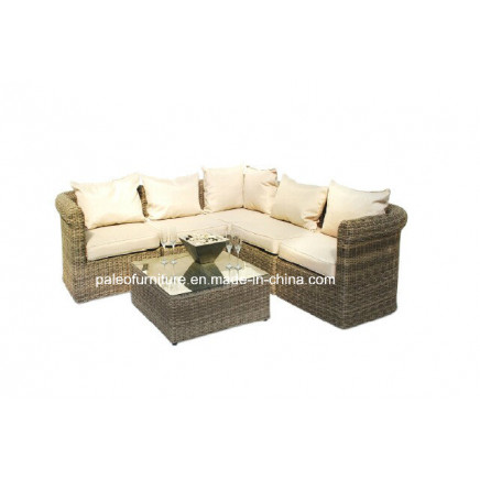 Rattan Furniture/Rattan Outdoor Furniture/Rattan Sofa (PAS-1203)