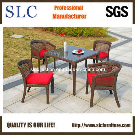 Rattan Table and Chair/Outdoor Table Set/Aluminum Table Set (SC-A7142)