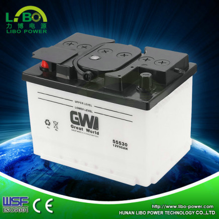 Rechargeable Libo Gw 12V 55ah DIN55 Hybrid Car Battery