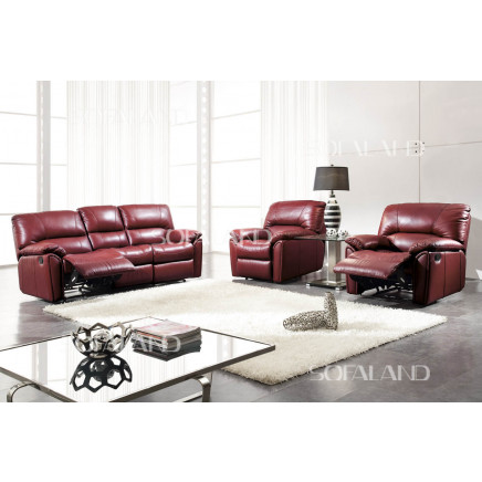 Recliner Leather Sofa (396)