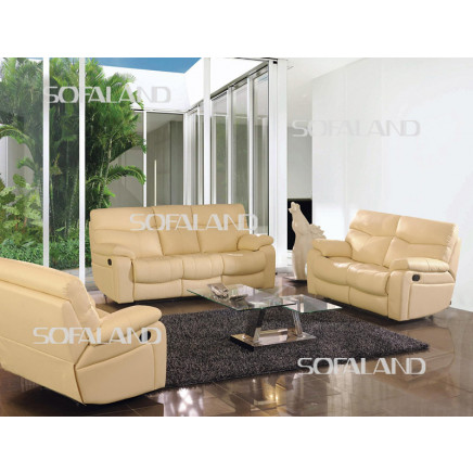 Recliner Sofa (841#)