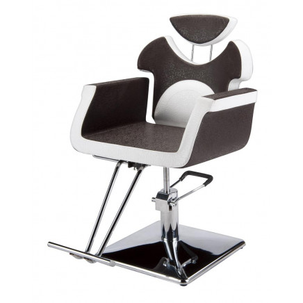 Reclining Salon Equipment Styling Chair (MY-007-59)
