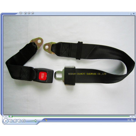 Retractable Seat Belt