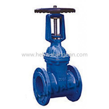 Rising Stem Resilient Gate Valve