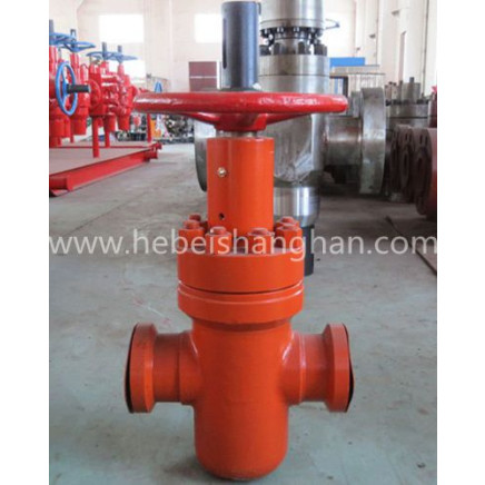 Rising Stem Slab Gate Valve