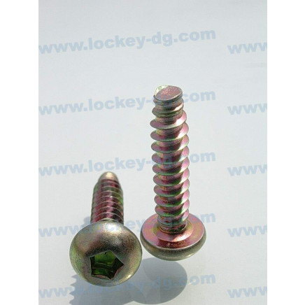 Roud Head Thread Forming Screw