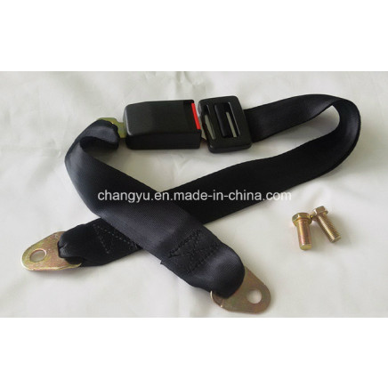 Safety Belt for Car