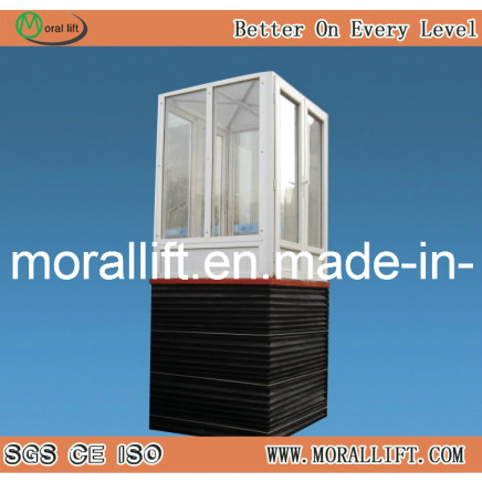 Scissor Wheel Chair Lift (SJG)