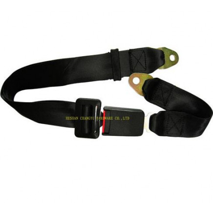 Seat Belt (2-P)