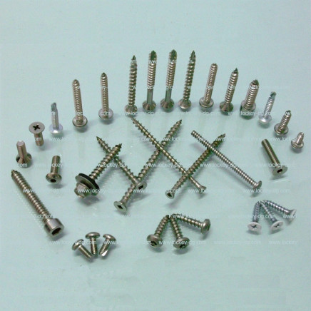 Self Drilling Screw Self Tapping Screw Deck Screw Roof Screw