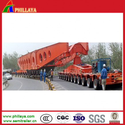 Semi Trailer Type Special Vehicle for Transport Special Goods